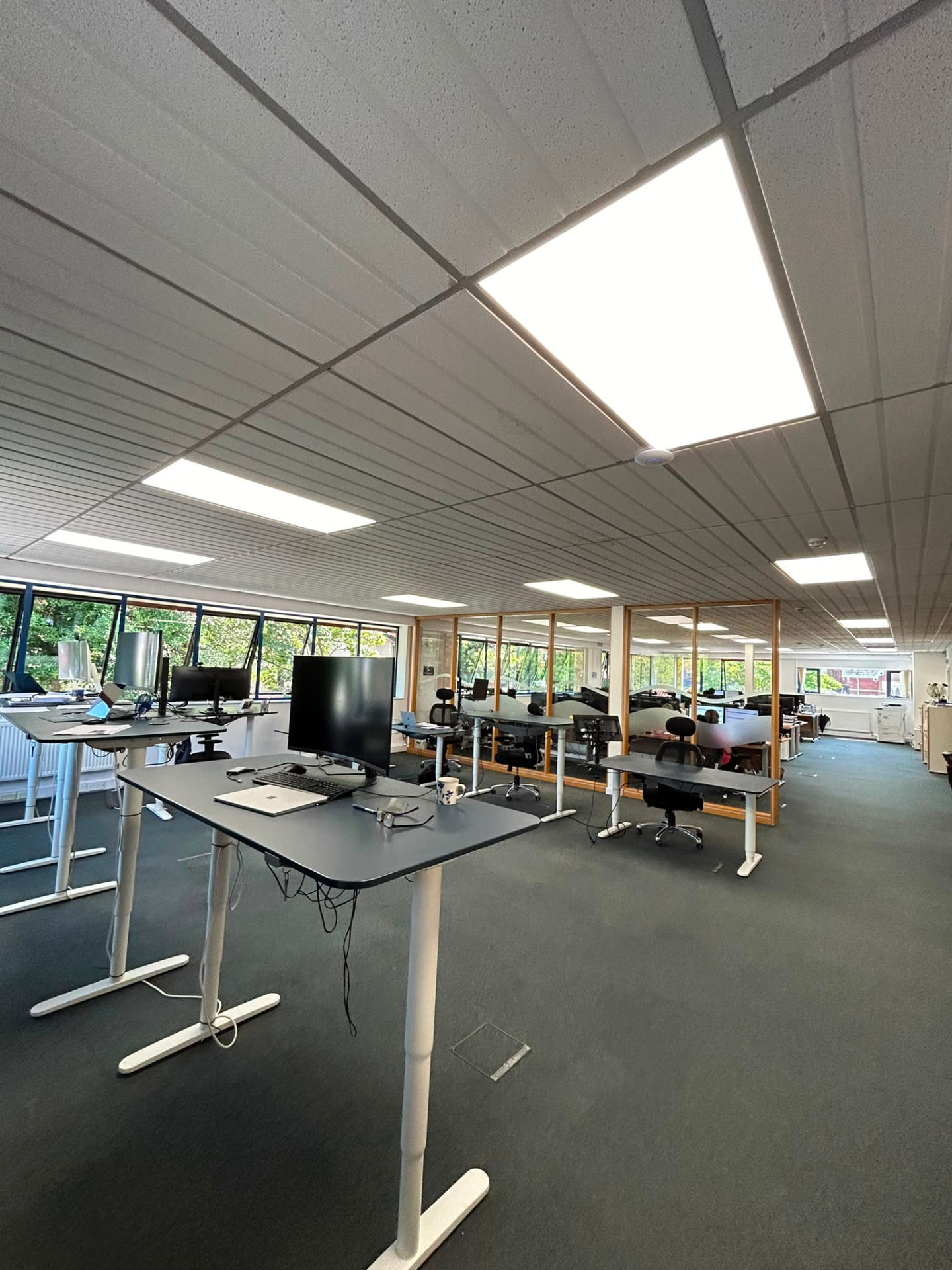 Modern suspended LED lighting installed across a commercial office ceiling
